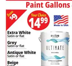 Ocean State Job Lot Paint Gallons offer