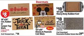 Ocean State Job Lot Doormats offer