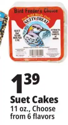 Ocean State Job Lot Suet Cakes offer