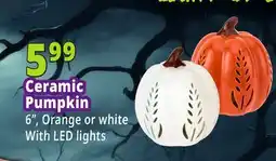 Ocean State Job Lot 6, Orange or white With LED lights offer