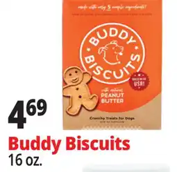 Ocean State Job Lot Buddy Biscuits offer