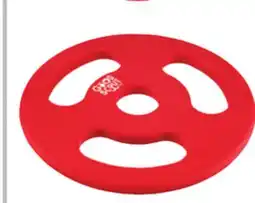 Ocean State Job Lot Good Scout Frisbee offer