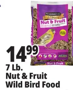 Ocean State Job Lot Nut & Fruit Wild Bird Food offer