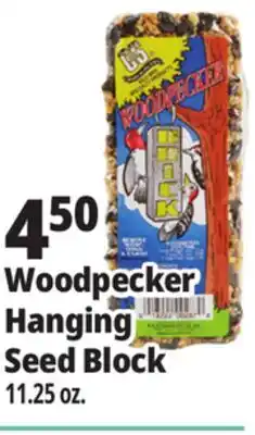 Ocean State Job Lot Woodpecker Hanging Seed Block 11.25 oz offer