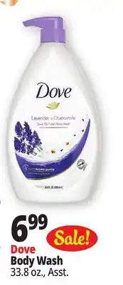 Ocean State Job Lot Body Wash offer