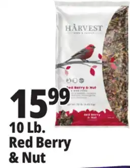 Ocean State Job Lot Red Berry & Nut offer