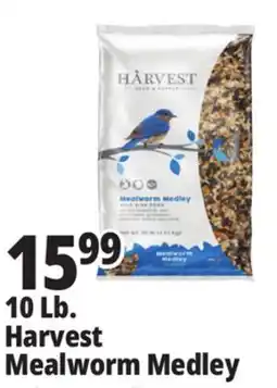 Ocean State Job Lot Harvest Mealworm Medley offer