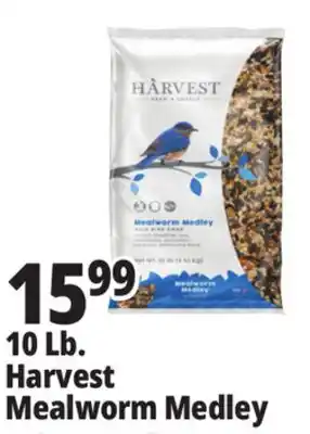 Ocean State Job Lot Harvest Mealworm Medley offer