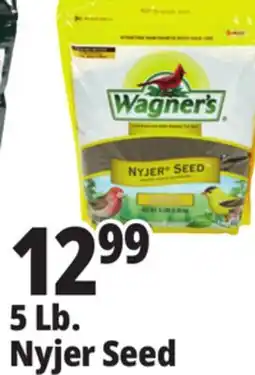 Ocean State Job Lot Wagner's 5 Lb. Nyjer Seed offer