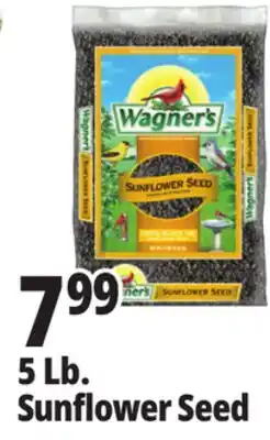 Ocean State Job Lot Sunflower Seed offer