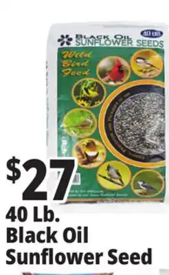 Ocean State Job Lot 40 Lb. Black Oil Sunflower Seed offer