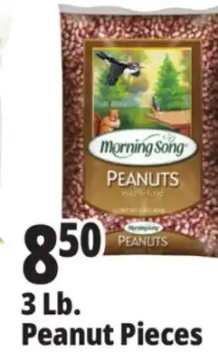 Ocean State Job Lot Peanut Pieces, 3 Lb offer