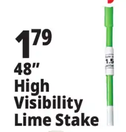 Ocean State Job Lot 48 High Visibility Lime Stake offer