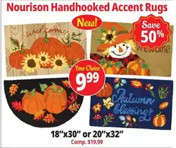 Ocean State Job Lot Nourison Handhooked Accent Rugs offer