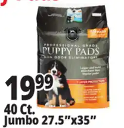Ocean State Job Lot Professional Grade 27.5 x 35 Puppy Pads with Odor Eliminators 40 Count offer
