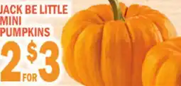 C Town BE LITTLE MINI MINI PUMPKINS offer