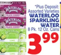 Bravo Supermarkets WATERLOO SPARKLING WATER offer