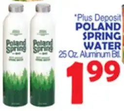 Bravo Supermarkets POLAND SPRING WATER offer