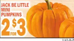 Bravo Supermarkets JACK BE LITTLE MINI MINI PUMPKINS offer
