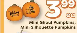 Weis Markets Mini Ghoul Pumpkins Mini Silhouette Pumpkins offer