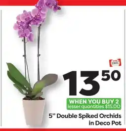 Weis Markets 5 Double Spiked Orchids in Deco Pot offer