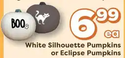 Weis Markets White Silhouette Pumpkins or Eclipse Pumpkins offer