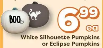 Weis Markets White Silhouette Pumpkins or Eclipse Pumpkins offer