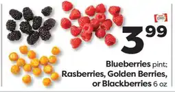 Weis Markets Blueberries pint Rasberries, Golden Berries, or Blackberries 6 oz offer