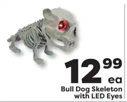 Weis Markets Bull Dog Skeleton with LED Eyes offer