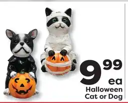 Weis Markets Halloween Cat or Dog offer
