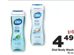 Weis Markets Dial Body Wash offer