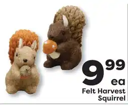 Weis Markets Felt Harvest Squirrel offer