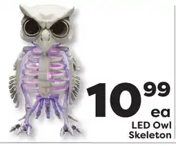 Weis Markets LED Owl Skeleton offer