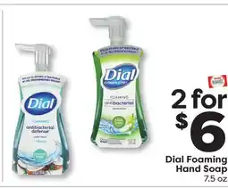 Weis Markets Dial Foaming Hand Soap offer