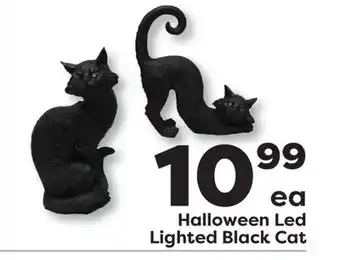 Weis Markets Halloween Led Lighted Black Cat offer