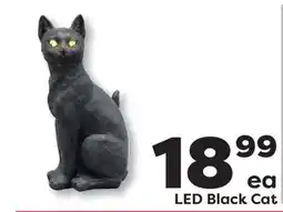 Weis Markets LED Black Cat offer