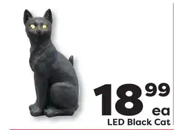 Weis Markets LED Black Cat offer