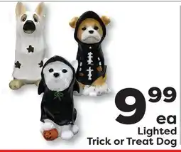 Weis Markets Lighted Trick or Treat Dog offer