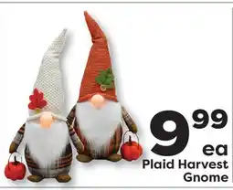 Weis Markets Plaid Harvest Gnome offer