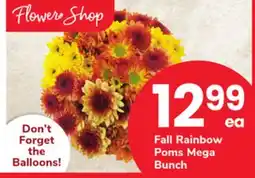 ACME Fall Rainbow Poms Mega Bunch offer