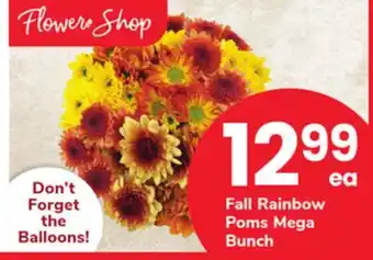 ACME Fall Rainbow Poms Mega Bunch offer