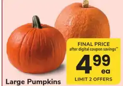 ACME Large Pumpkins offer