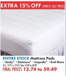 Boscov's ENTIRE STOCK Mattress Pads offer