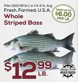 DeCicco & Sons Whole Striped Bass offer