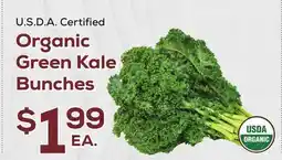 DeCicco & Sons Organic Green Kale Bunches offer