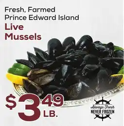 DeCicco & Sons Live Mussels offer