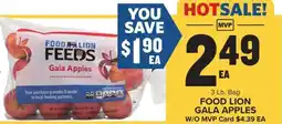 Food Lion FOOD LION GALA APPLES offer