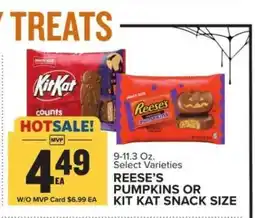 Food Lion REESE’S PUMPKINS OR KIT KAT SNACK SIZE offer