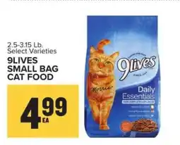 Food Lion 9Lives Small Bag Cat Food offer