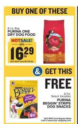 Food Lion Purina ONE Dry Dog Food offer